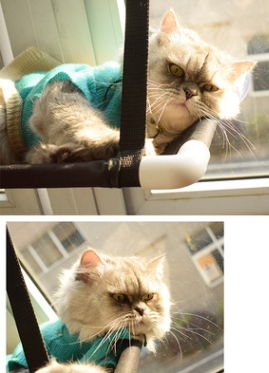 Cat hammock window bed