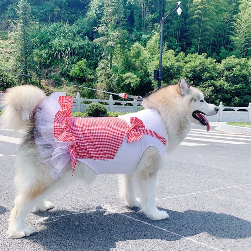 Dog Cloth Princess Dog Costume