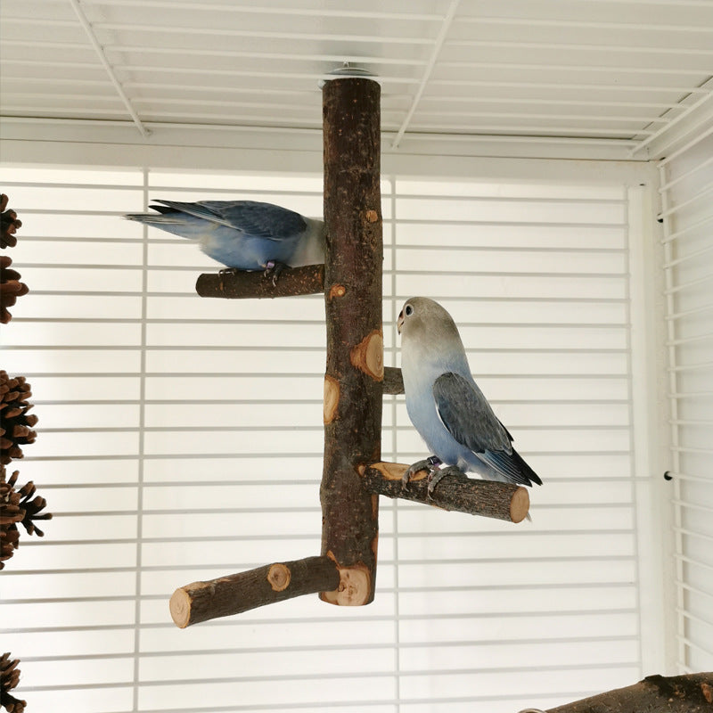 Parrot Bird Wood Stand Pole