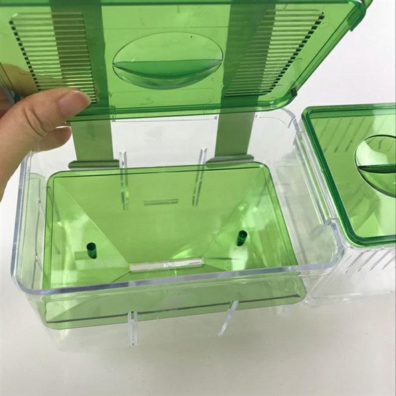 Hatching box guppy sick fish isolation box