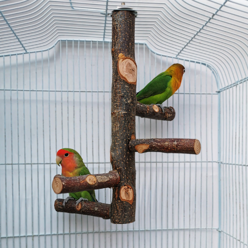 Parrot Bird Wood Stand Pole