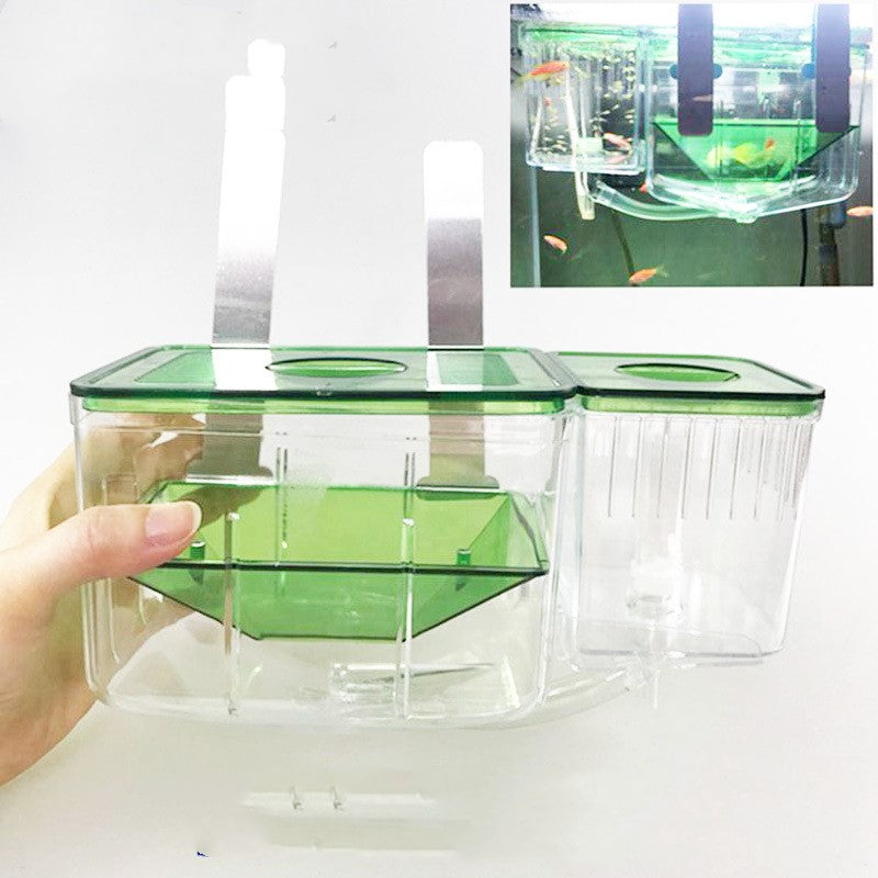 Hatching box guppy sick fish isolation box