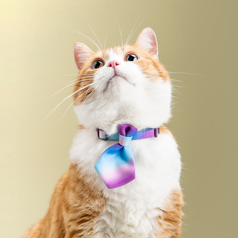 Pet collar tie - adjustable