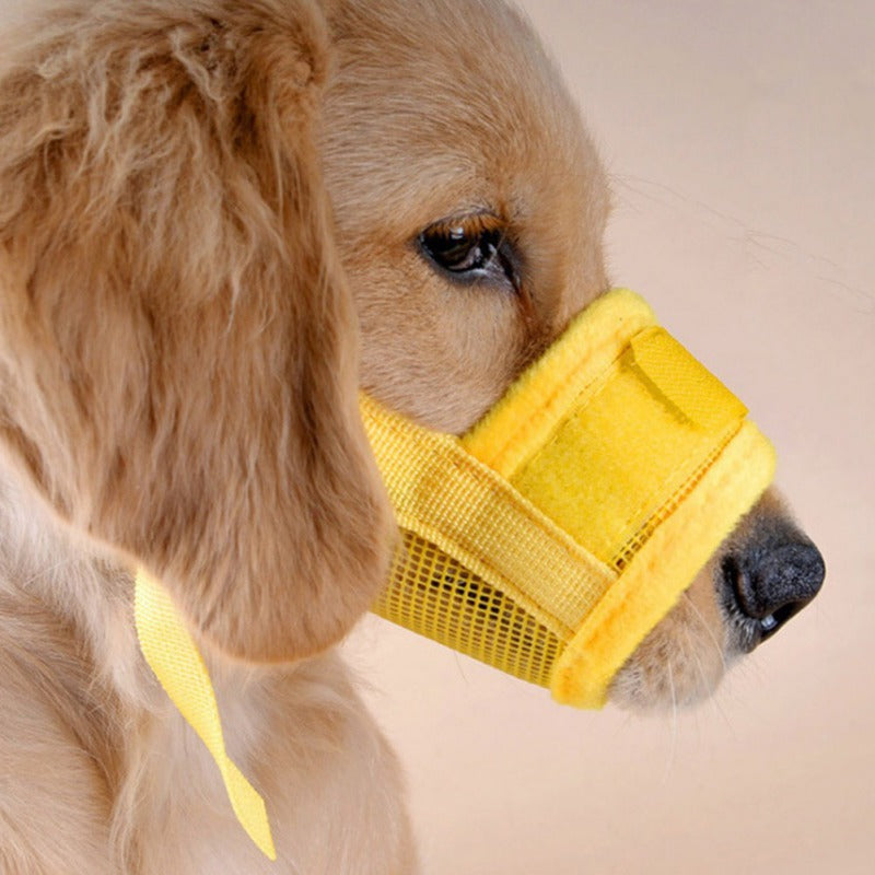 Dog Muzzle