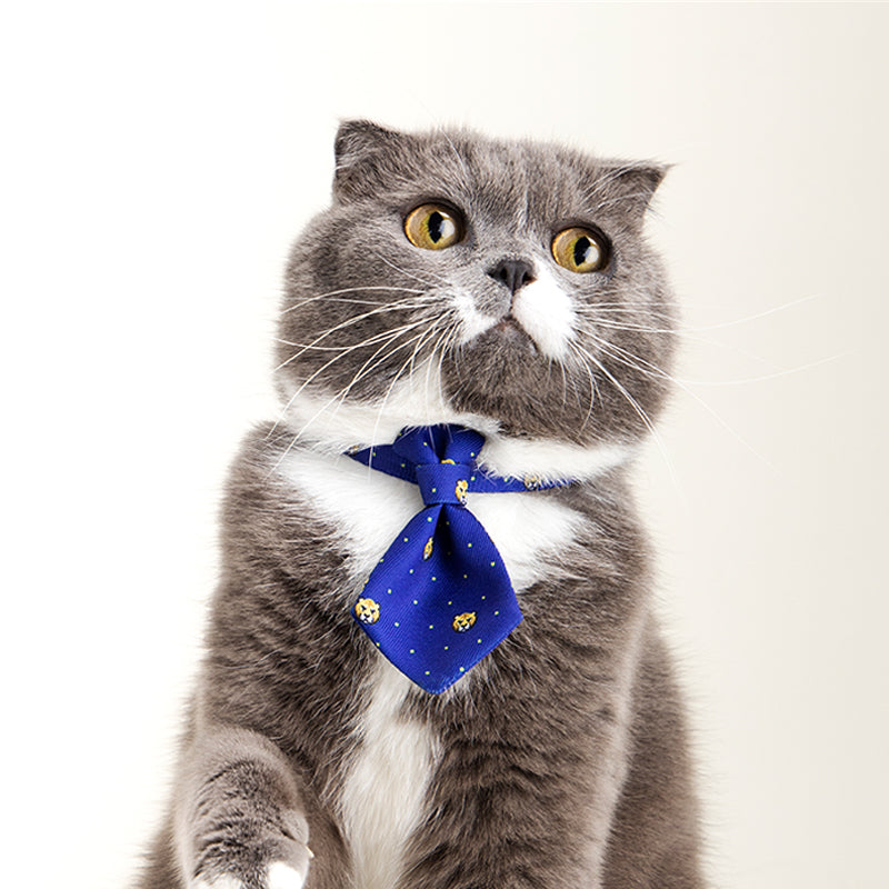 Pet collar tie - adjustable