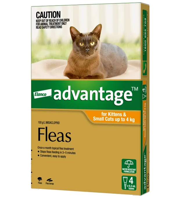 Advantage small cat 0-4kg