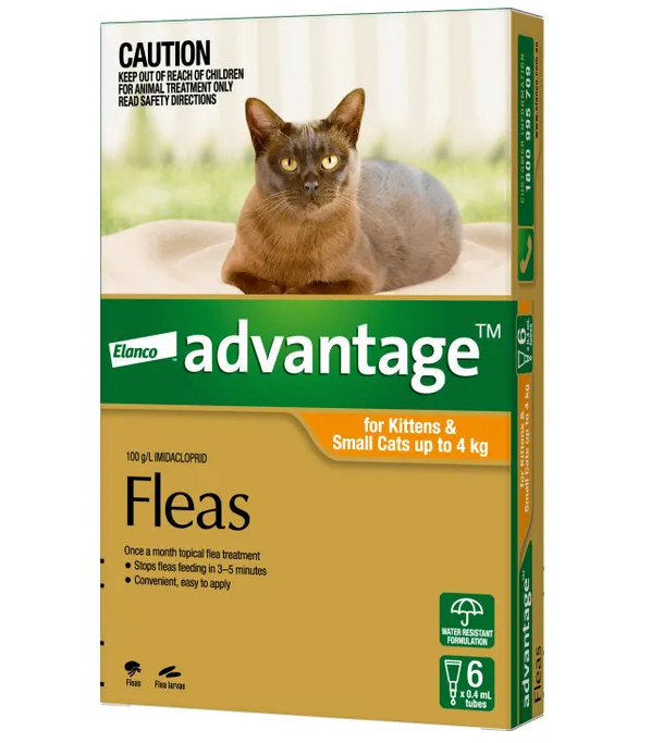 Advantage small cat 0-4kg