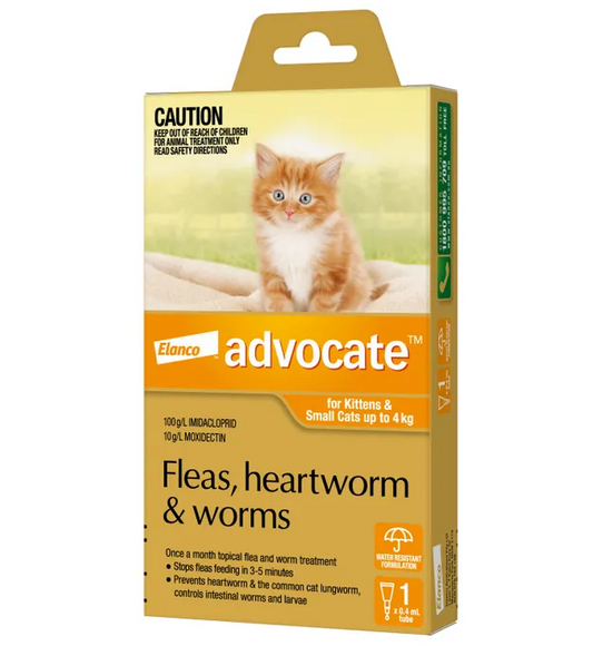 Advocate cat small orange 0-4kg