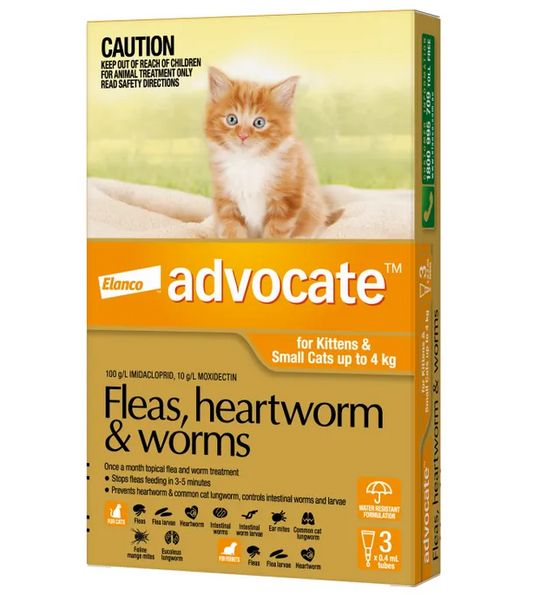 Advocate cat small orange 0-4kg