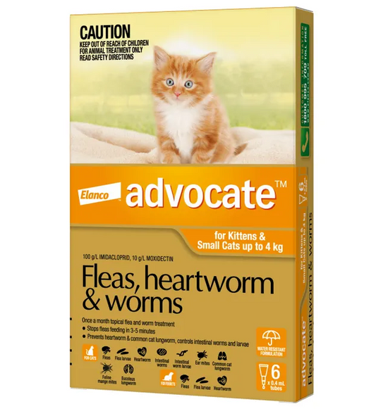 Advocate cat small orange 0-4kg