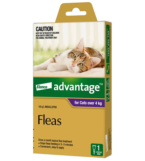 Advantage large cats over 4kg