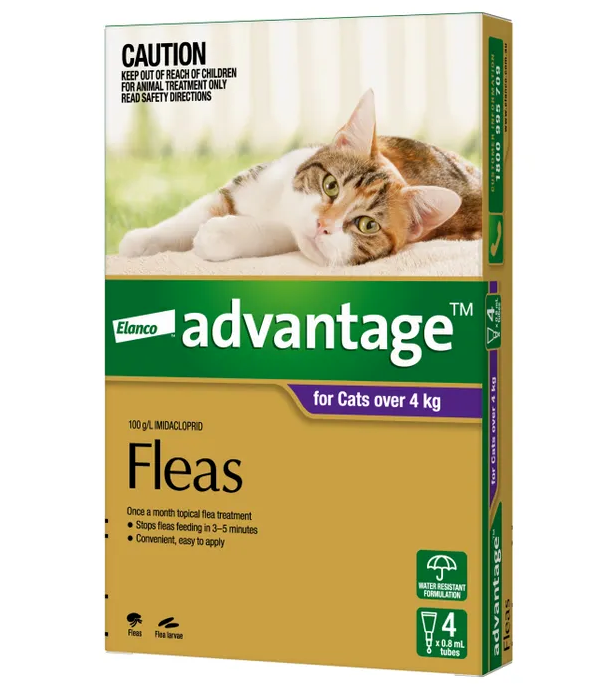 Advantage large cats over 4kg