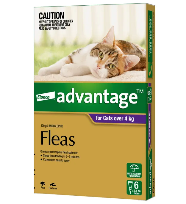 Advantage large cats over 4kg