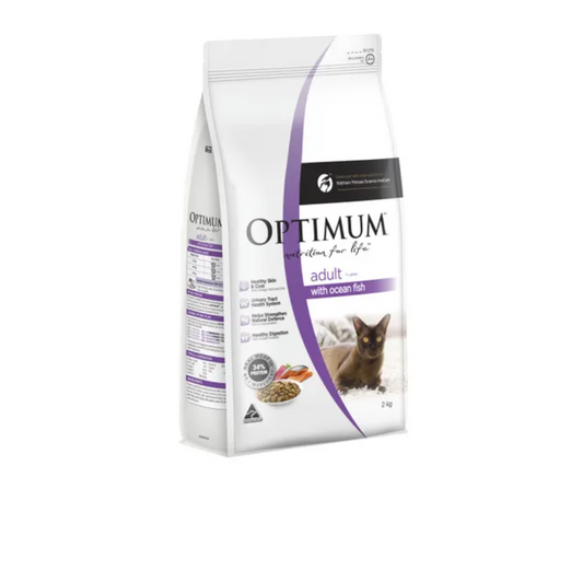 Optimum cat adult ocean fish