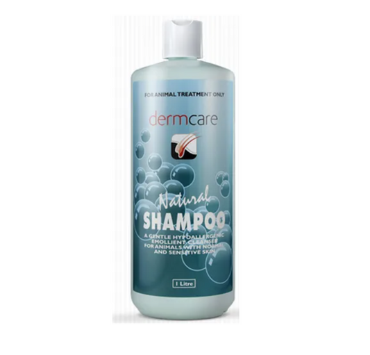 Dermcare Natural Shampoo