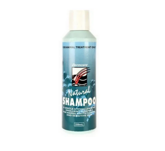 Dermcare Natural Shampoo