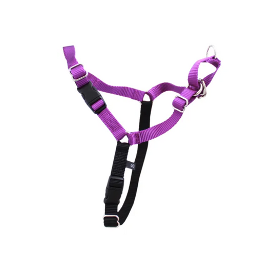 Gentle Leader Harness