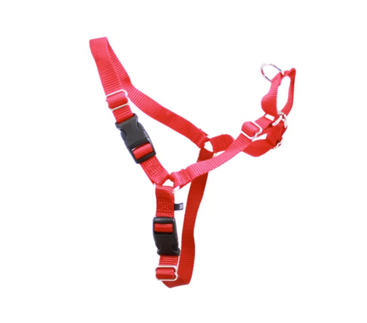 Gentle Leader Harness