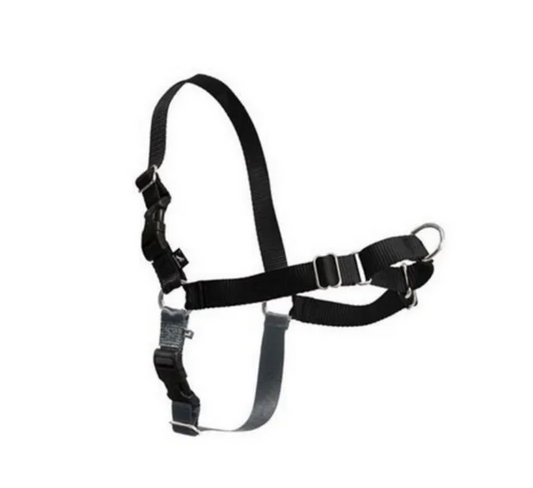 Gentle Leader Harness