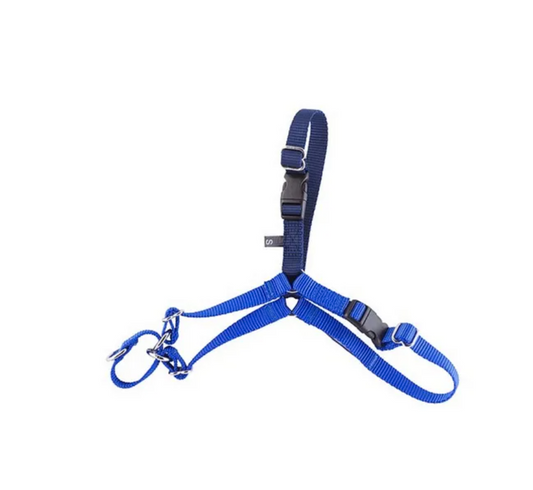 Gentle Leader Harness