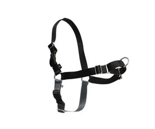 Gentle Leader Harness