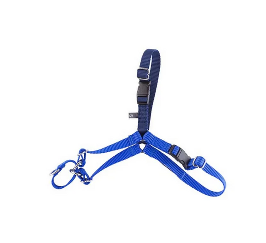 Gentle Leader Harness