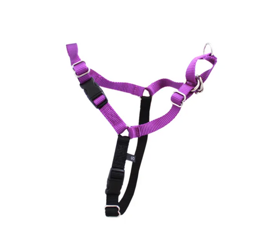 Gentle Leader Harness