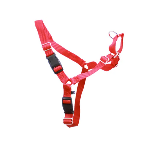 Gentle Leader Harness