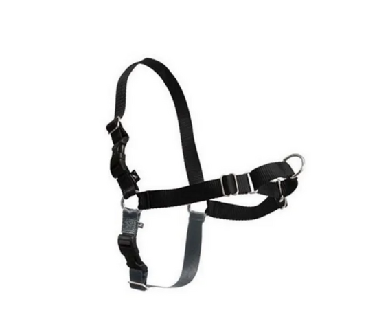 Gentle Leader Harness