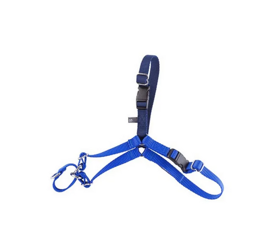 Gentle Leader Harness