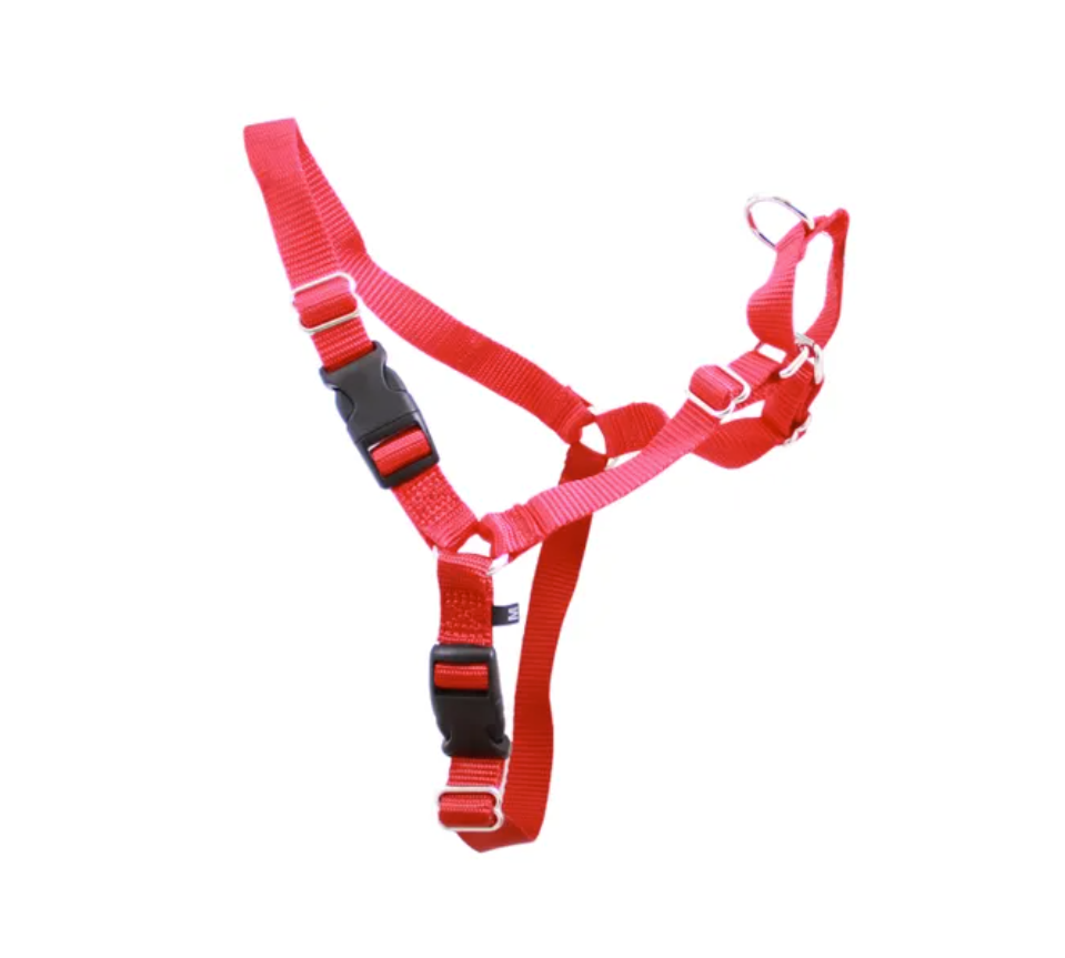 Gentle Leader Harness