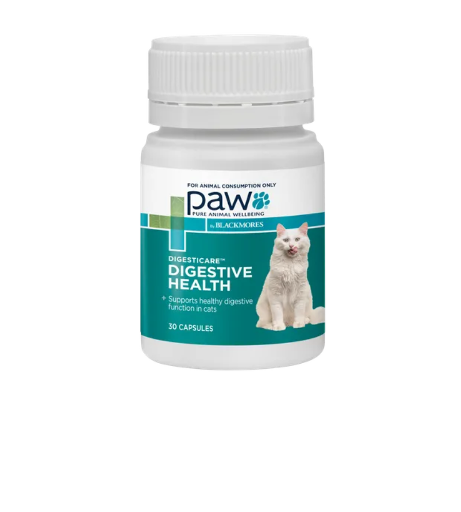 Paw Digest Care For Cats