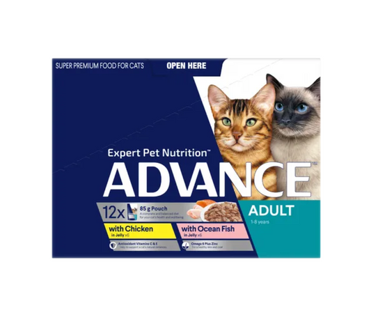 Advance 1+ year old cat multi pack tender chunks in jelly