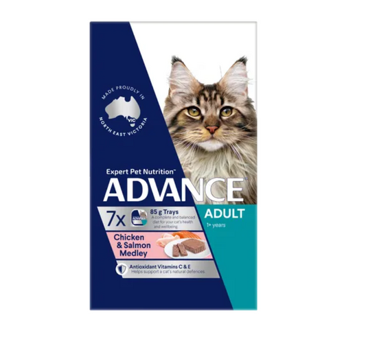 Advance cat adult chicken & salmon