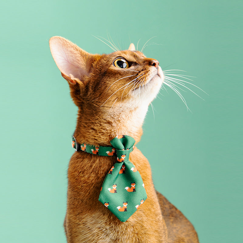 Pet collar tie - adjustable