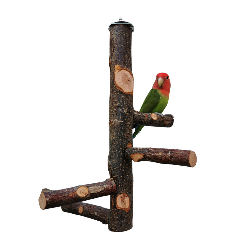 Parrot Bird Wood Stand Pole