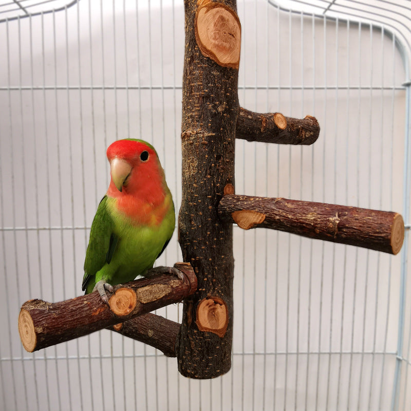 Parrot Bird Wood Stand Pole