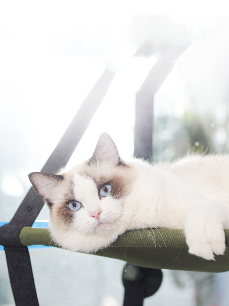 Cat Hammock - Cat Bed with window suction cup